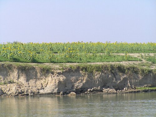 P1260267